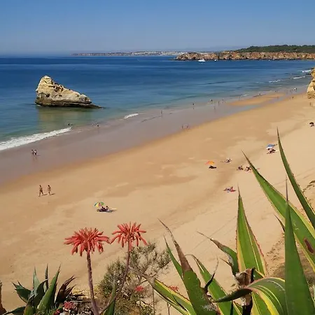 Ruby Red & Atlantic Blue Apartments In Oceano Atlantico *